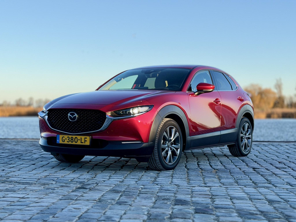 50253462