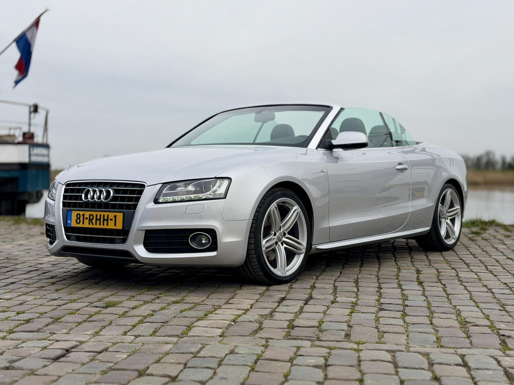 52838231