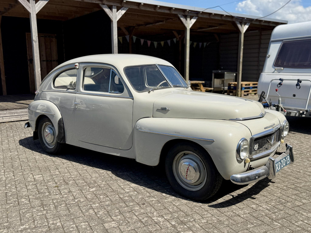 54687562