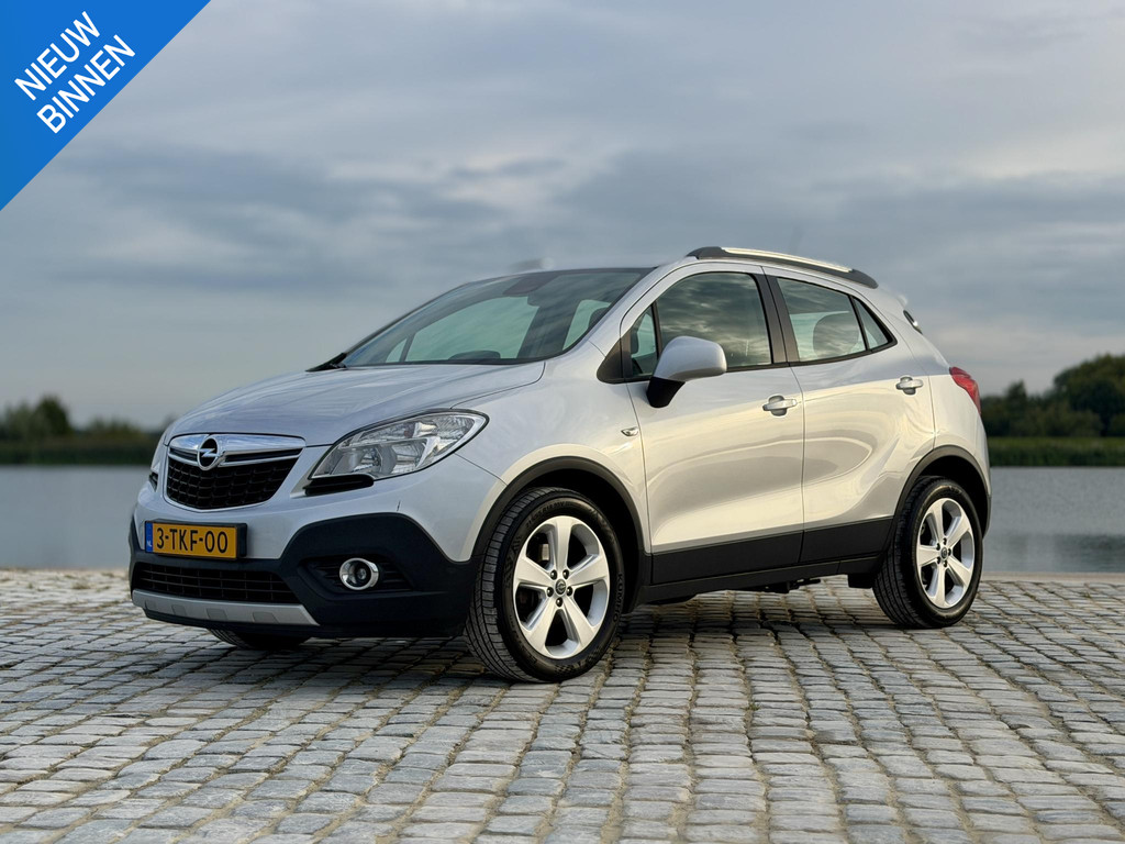 56397261