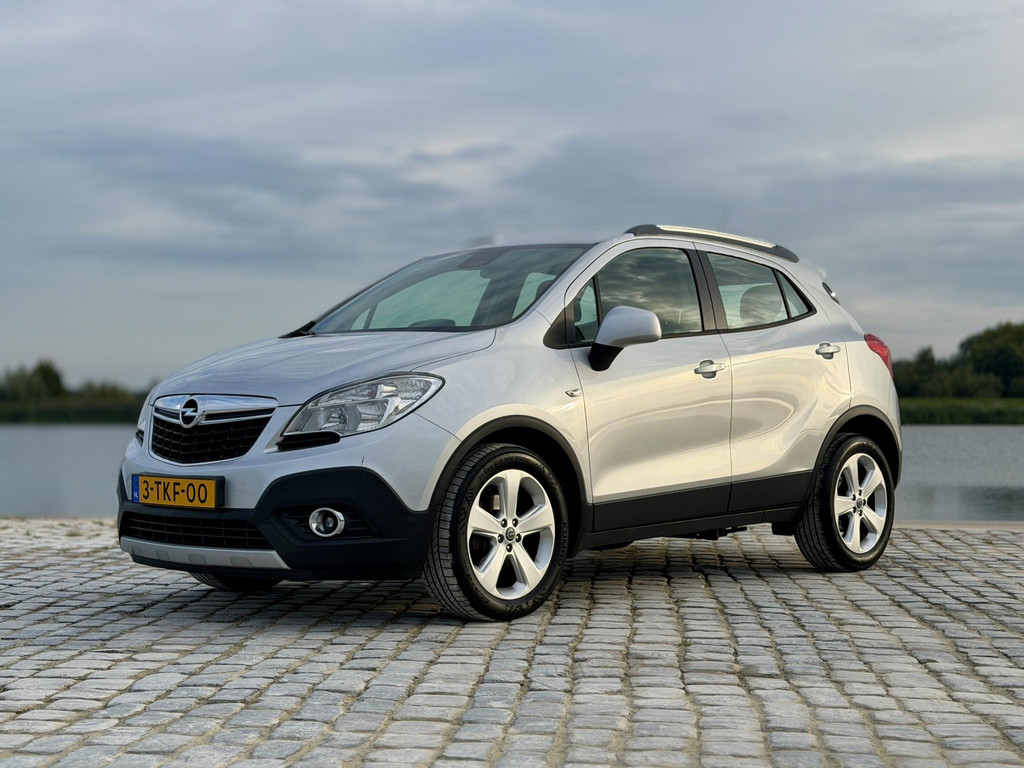 56397261